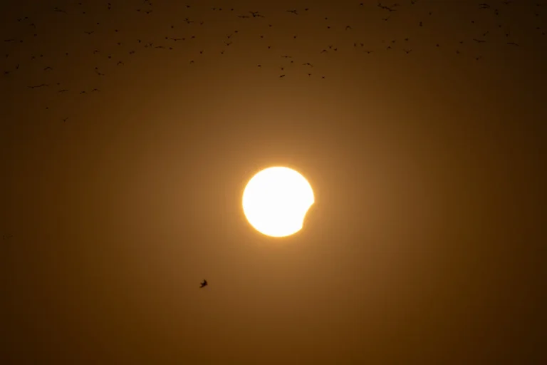 Björk Echolalia Eclipse Rave Draws 7,000 to Iceland Under Totality Björk Echolalia eclipse rave